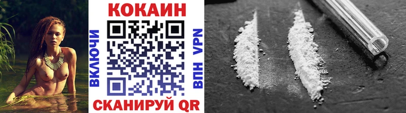 дарнет шоп  Печора  Cocaine 99% 
