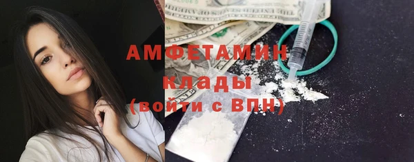 сатива Балахна