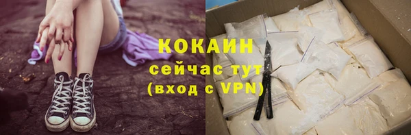 сатива Балахна