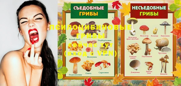 каннабис Баксан