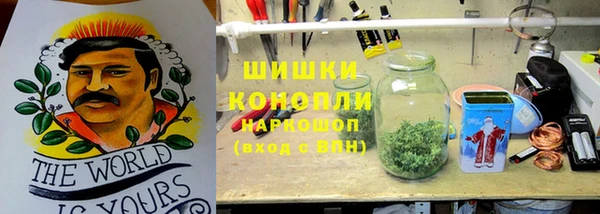 сатива Балахна