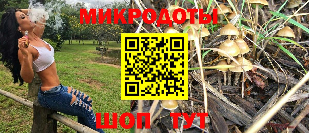 Галлюциногенные грибы прущие грибы  Вход с VPN  купить   Печора 